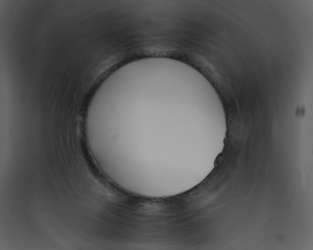 X0000089360071200707131624
