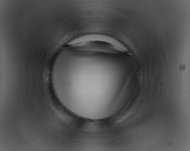 X0000089360072200707131624