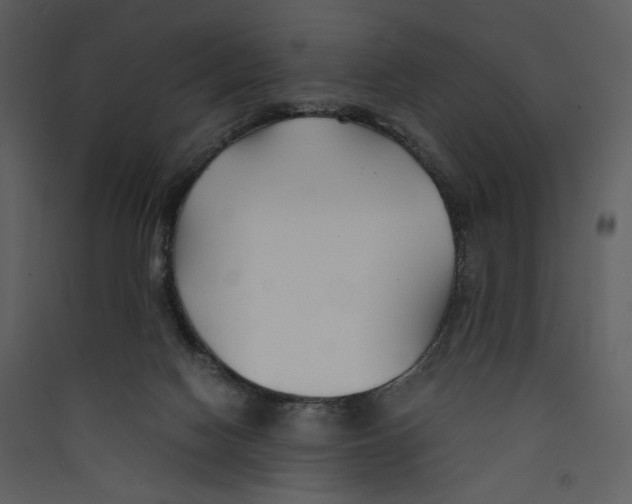 X0000089360074200707131624