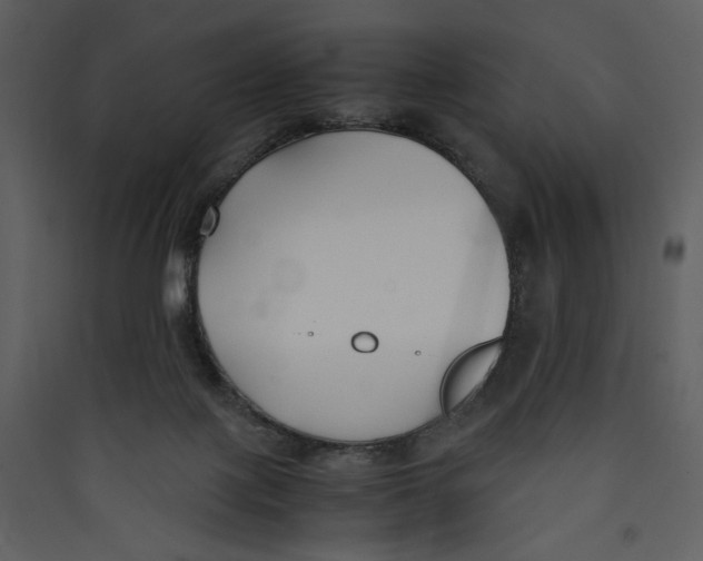 X0000089360075200707131624