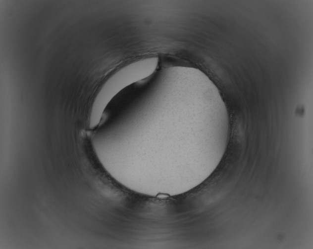 X0000089360076200707131624