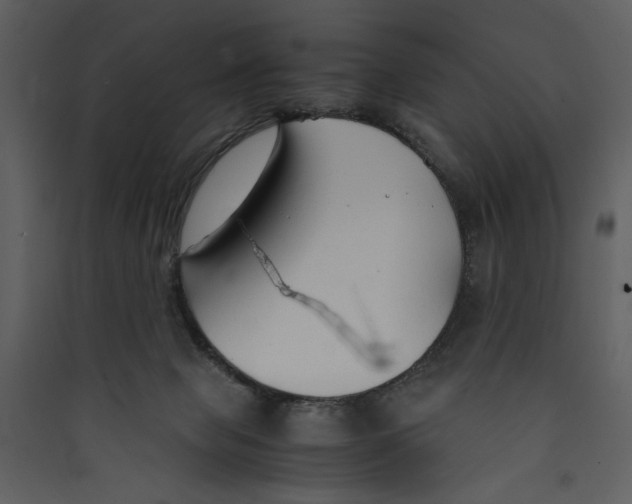 X0000089360077200707131624