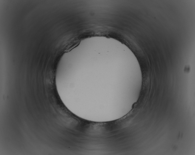 X0000089360078200707131624