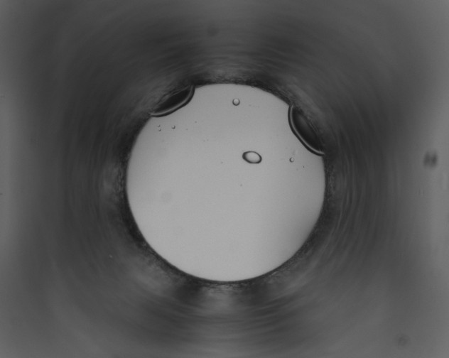 X0000089360079200707131624