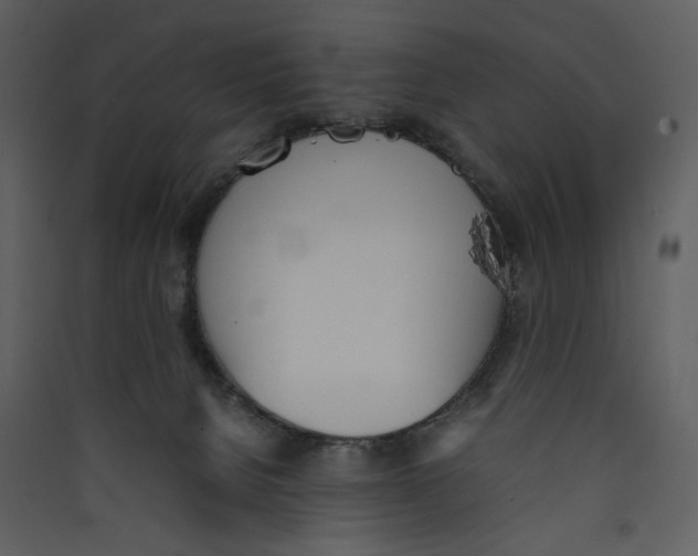 X0000089360080200707131624