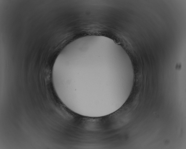 X0000089360081200707131624