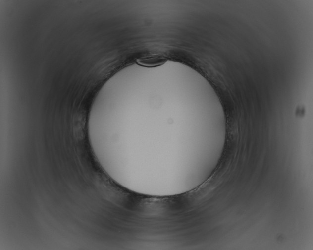 X0000089360082200707131624