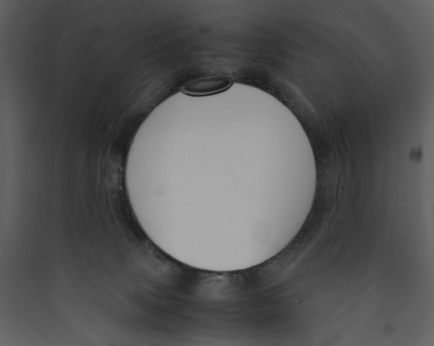 X0000089360083200707131624