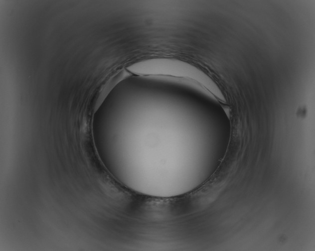 X0000089360084200707131624