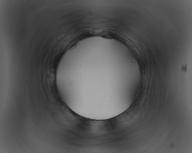 X0000089360085200707131624