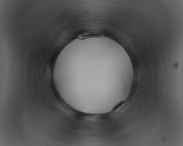X0000089360086200707131624