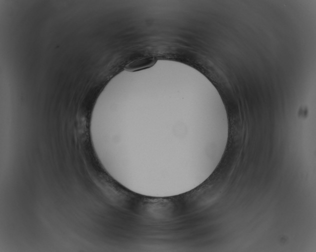 X0000089360087200707131624