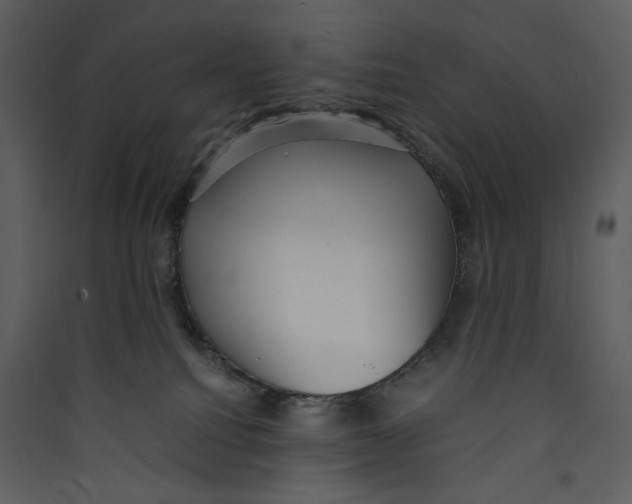 X0000089360088200707131624