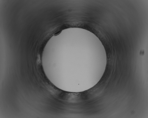 X0000089360089200707131624