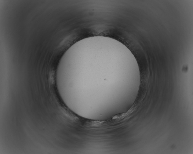 X0000089360090200707131624