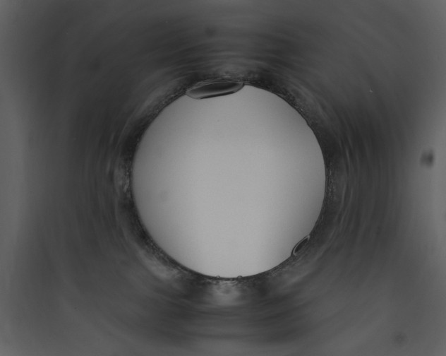 X0000089360091200707131624