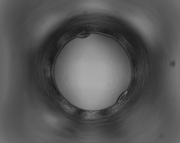 X0000089360093200707131624