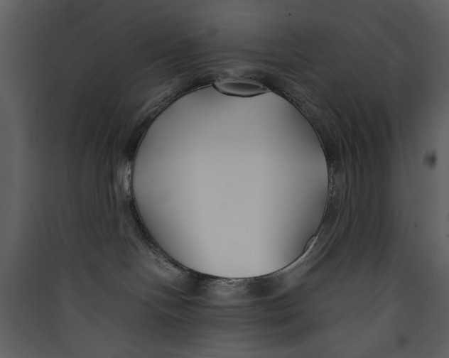 X0000089360094200707131624