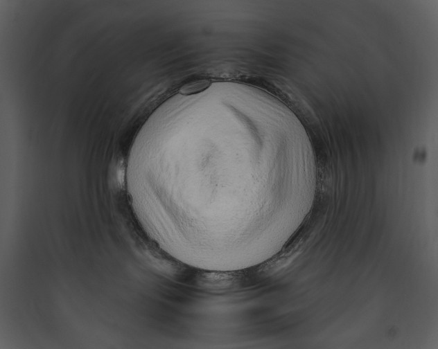 X0000089360095200707131624