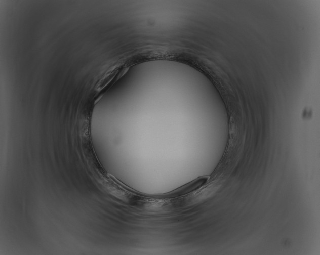X0000089360096200707131624