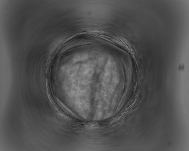 X0000089360097200707131623