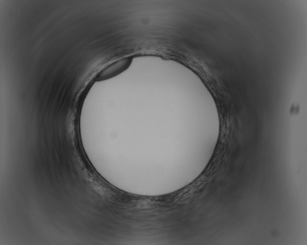 X0000089360098200707131623