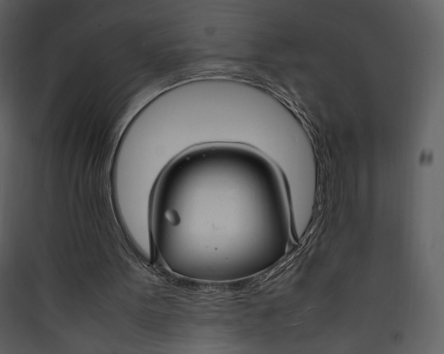 X0000089360099200707131623