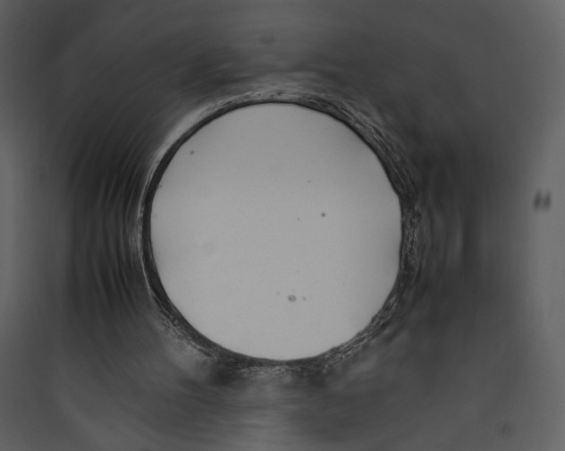 X0000089360100200707131623