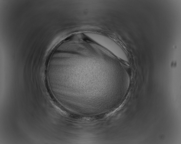 X0000089360101200707131623