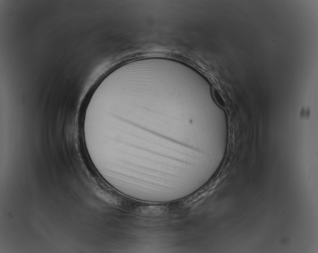 X0000089360102200707131623
