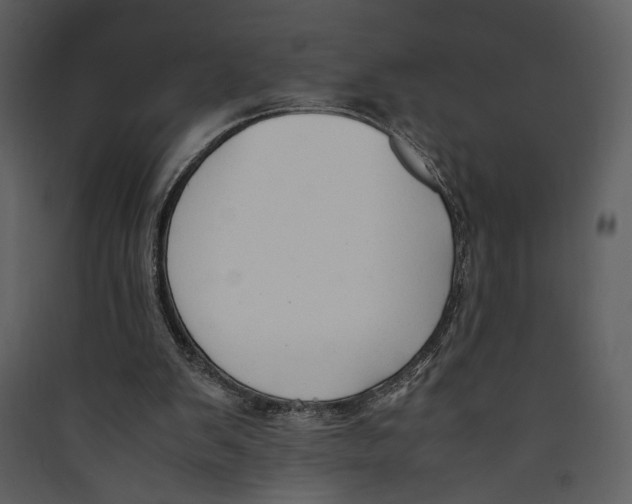 X0000089360103200707131623