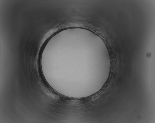 X0000089360104200707131623