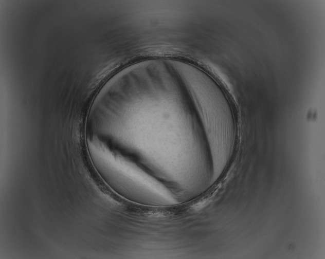 X0000089360105200707131623