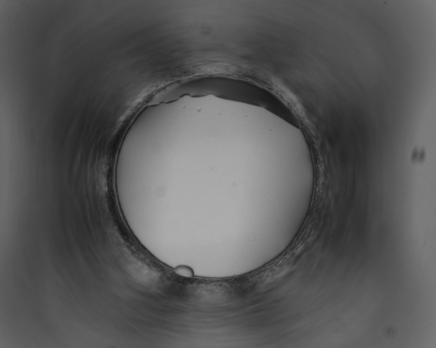 X0000089360106200707131623