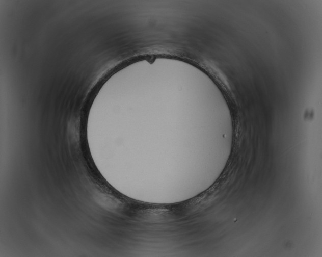 X0000089360108200707131623