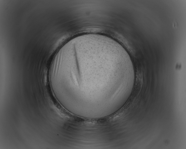 X0000089360110200707131623