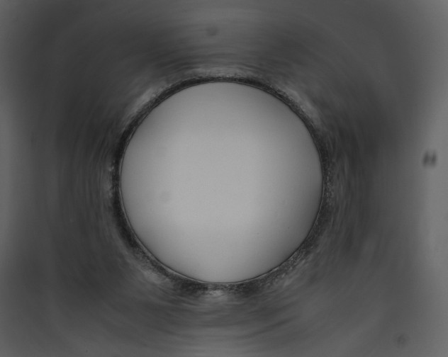 X0000089360111200707131623