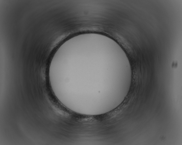 X0000089360112200707131623