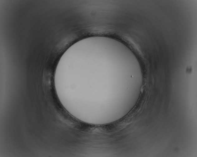X0000089360115200707131623