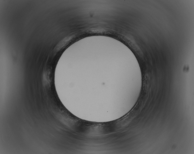 X0000089360116200707131623