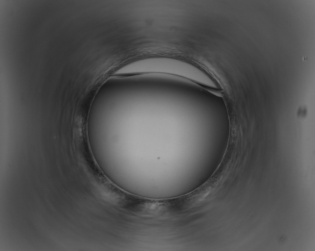 X0000089360117200707131623