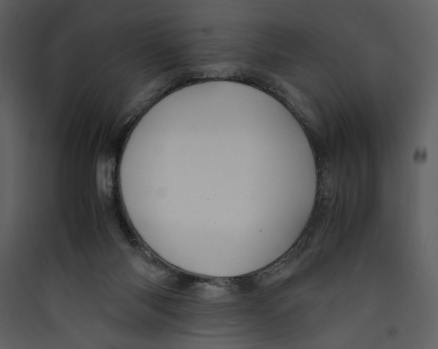 X0000089360118200707131623