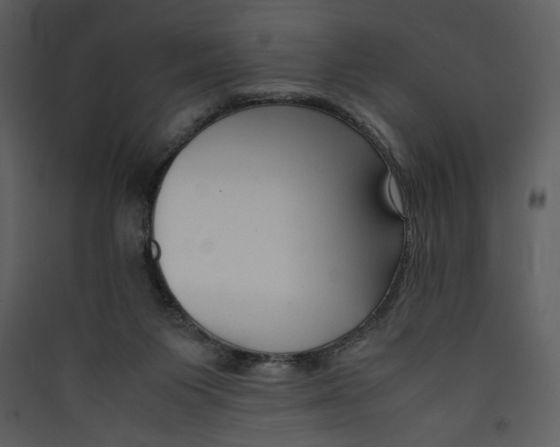 X0000089360119200707131623