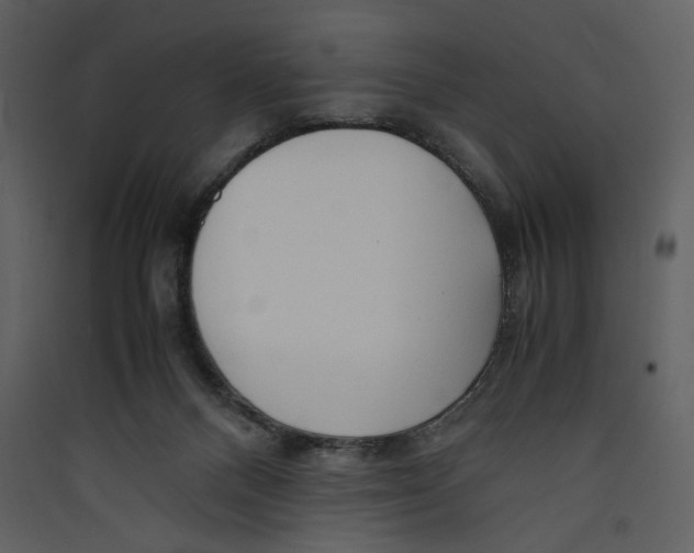 X0000089360120200707131623