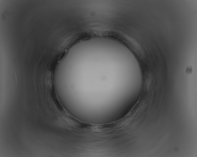 X0000089360121200707131623