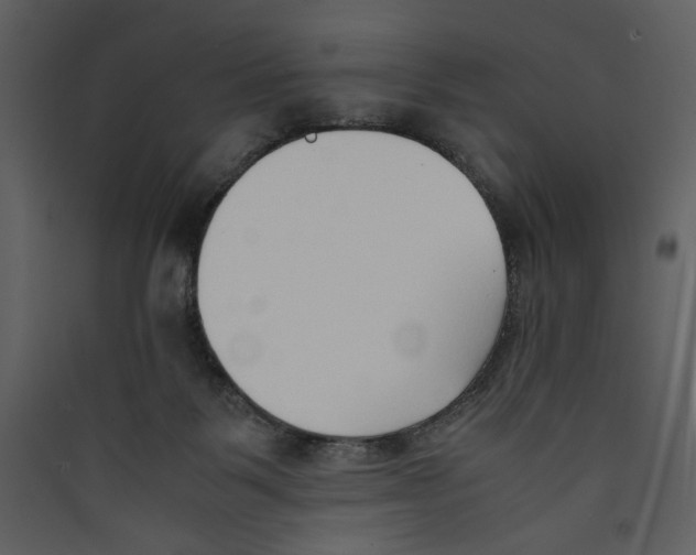 X0000089360123200707131623