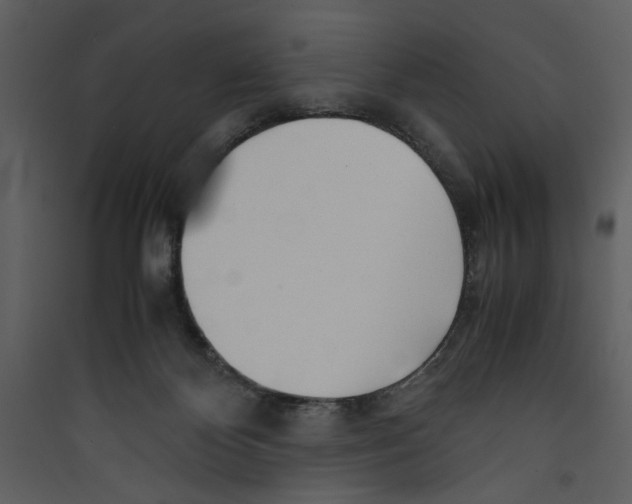 X0000089360124200707131623