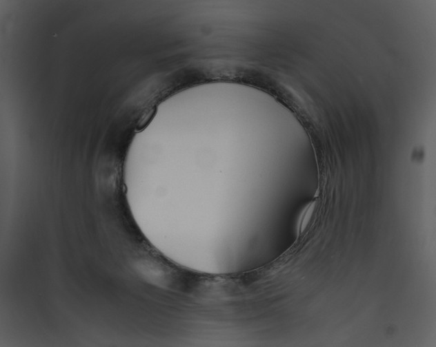 X0000089360125200707131623