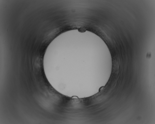 X0000089360126200707131623