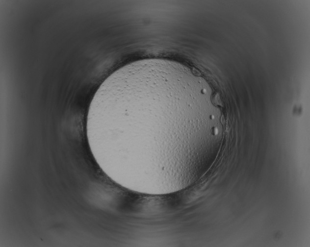 X0000089360127200707131623
